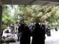 گزارش تصویری اردوی فرهنگی حامیم دختران 